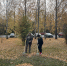 В Лунинском районе в рамках благоустройства организован санитарный - Лунинский район
