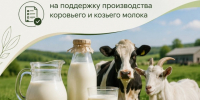 Отбор получателей субсидии из бюджета Херсонской области предприятиям пищевой и перерабатывающей промышленности на поддержку переработки молока сырого крупного рогатого скота, козьего и овечьего на пищевую продукцию признан не состоявшимся - Министерство АПК и продовольственной политики