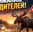 ВНИМАНИЕ, ВОДИТЕЛИ! ОСТОРОЖНО, ЛОСИ НА ДОРОГАХ!. - Администрация района
