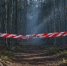 Карантин по бешенству ввели в Пыталовском округе - Pln-Pskov.Ru