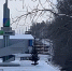 Медведь ликвидирован в районе городской поликлиники - Мой Усть-Илимск.RU