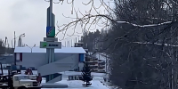 Медведь ликвидирован в районе городской поликлиники - Мой Усть-Илимск.RU