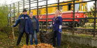 Транспортники Петербурга убрали город от листвы и мусора - Санкт-Петербург.ру