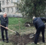 Высадка клёнов. Фото пресс-службы администрации Новочеркасска - RuffNews.Ru