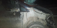 Водитель Mercedes насмерть сбил лошадь в Республике Алтай, пострадала пассажирка - Сетевое издание Толк