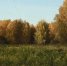 Картинка - Regions.Ru