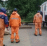 В Крыму зафиксировали 12 случаев падения столбов и деревьев - Комсомольская правда