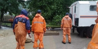 В Крыму зафиксировали 12 случаев падения столбов и деревьев - Комсомольская правда