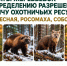 Опубликованы протоколы результатов жеребьёвок по распределению разрешений на добычу куницы лесной, росомахи, соболя и рыси - Госохотдепартамент Тюменской области