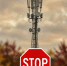 «МегаФон» рекламировал несуществующий 5G-интернет в России - StolicaOnego.Ru