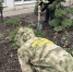 2026-10-19_12-12-06.png - Администрация г. Ростов-на-Дону