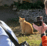Студенты кафедры дизайн вышли на фотопрогулку - Пятигорский институт (филиал) СКФУ