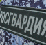 Более 1,5 тысячи выездов по сигналам «Тревога» осуществила вневедомственная охрана Росгвардии  в Адыгее - Росгвардия