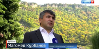 Глава Табасаранского района рассказал о вкладе уроженцев сел Дагестана в СВО - Голос Табасарана