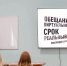 В Липецке студентам рассказали о службе в СК России и профилактическом проекте «Выход 31» - Следственный комитет