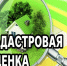Извещение о размещении проекта отчета об итогах государственной кадастровой оценки, порядке и сроках предоставления замечаний к проекту отчета. - Куртамышский муниципальный округ