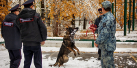 JPG Файл - УМВД по Ханты-Мансийскому АО - Югре