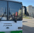 В Тамбове 15-летняя девушка получила травмы в автобусе - OnlineTambov.Ru
