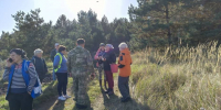 В Воронежской области ушедшая за грибами пенсионерка всю ночь провела в лесу - РИА Воронеж