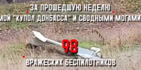 Кадр ТГ-канала "Донбасс решает" - НИА