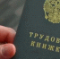 В Вологодской области продолжается борьба с нелегальной занятостью - Министерство соцзащиты населения