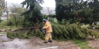 Спасатели работают в условиях непогоды - Правительство Севастополя