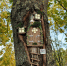 Источник фото: https:/max.ru/razumishkin - НИА Санкт-Петербург