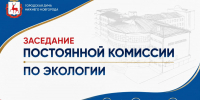 Предварительные итоги работы по озеленению территории города за текущий год подведут на заседании постоянной комиссии Думы по экологии - Городская Дума