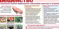 newsplaceholder - Мэрия городского округа Тольятти