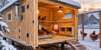 Строим курятник из OSB — морозов не боится: тёплый птичник для зимовки — куры несутся даже при -30 °C - Progorod33.Ru
