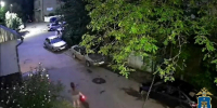 Жительница Предгорья ответит в суде за неудачное хищение электровелосипеда - ИА Победа 26
