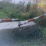 IMG_1985 - OrelTimes.Ru
