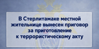 В Стерлитамаке местной жительнице вынесен приговор за приготовление к террористическому акту - Следственный комитет