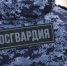 В Центральном районе наряд Росгвардии задержал пособницу телефонных мошенников, пытавшуюся проникнуть в чужую квартиру - Росгвардия