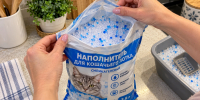 Силикагелевый наполнитель для лотка на OZON скупают по 15 кг за раз даже те, у кого нет кошек: вот как применяют дома и на даче - 3 идеи - Progorod33.Ru