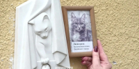 В Омске открыли памятник театральной кошке - ГТРК Иртыш