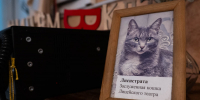 Играем с шариком трагедии и комедии. В Омске появился памятник театральной кошке Лисистрате - ИА Омск здесь