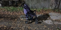 Фото: УМВД России по Архангельской области - News29.Ru