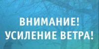 Фото из сети Интернет. - Лешуконский муниципальный округ