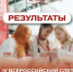 Ученики из Белинского района примут участие в IV Всероссийском слёте «Хранители истории» - Белинский район