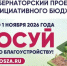 Продолжается народное голосование в рамках губернаторского проекта «ВАМ РЕШАТЬ!» - Город Кулебаки