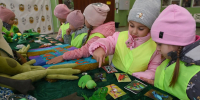 Волосово признали столицей детского экологического кино России - Online47.Ru