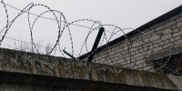 Заведующего фермой в Чернянке приговорили к ограничению свободы - Сетевое издание Приосколье 31