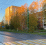 Пешеходный переход - Петрозаводск говорит
