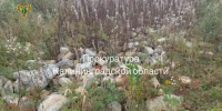 Прокуратура добилась ликвидации отходов в заказнике «Романовское» - NewKaliningrad.Ru