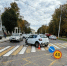 В ГИБДД рассказали о ДТП напротив здания правительства Калининградской области - Комсомольская правда