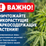 Внимание! - Администрация г. Владикавказ
