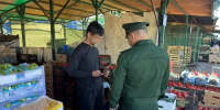 В Оренбурге в ходе рейда выявили двоих уклонистов - Комсомольская Правда