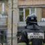 Почти 80 пожаров произошло в Нижегородской области за прошедшую неделю - ProGorodNN.Ru
