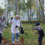 В Красносельском районе прошёл традиционный «Добрый субботник» - Красносельский район